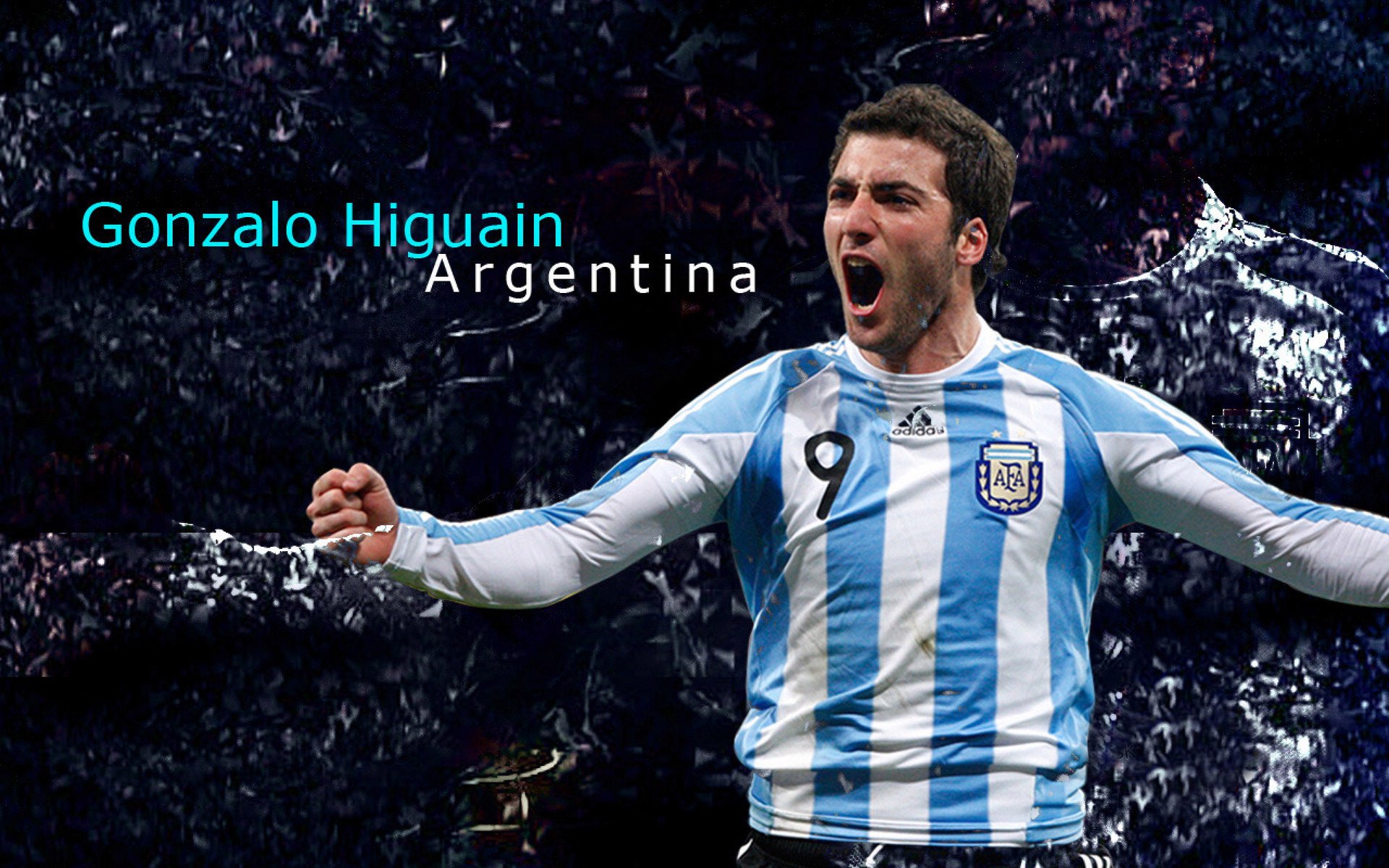 球员在欧洲杯赛场完成个人最佳表现被热议,欧洲杯球员进球排行榜