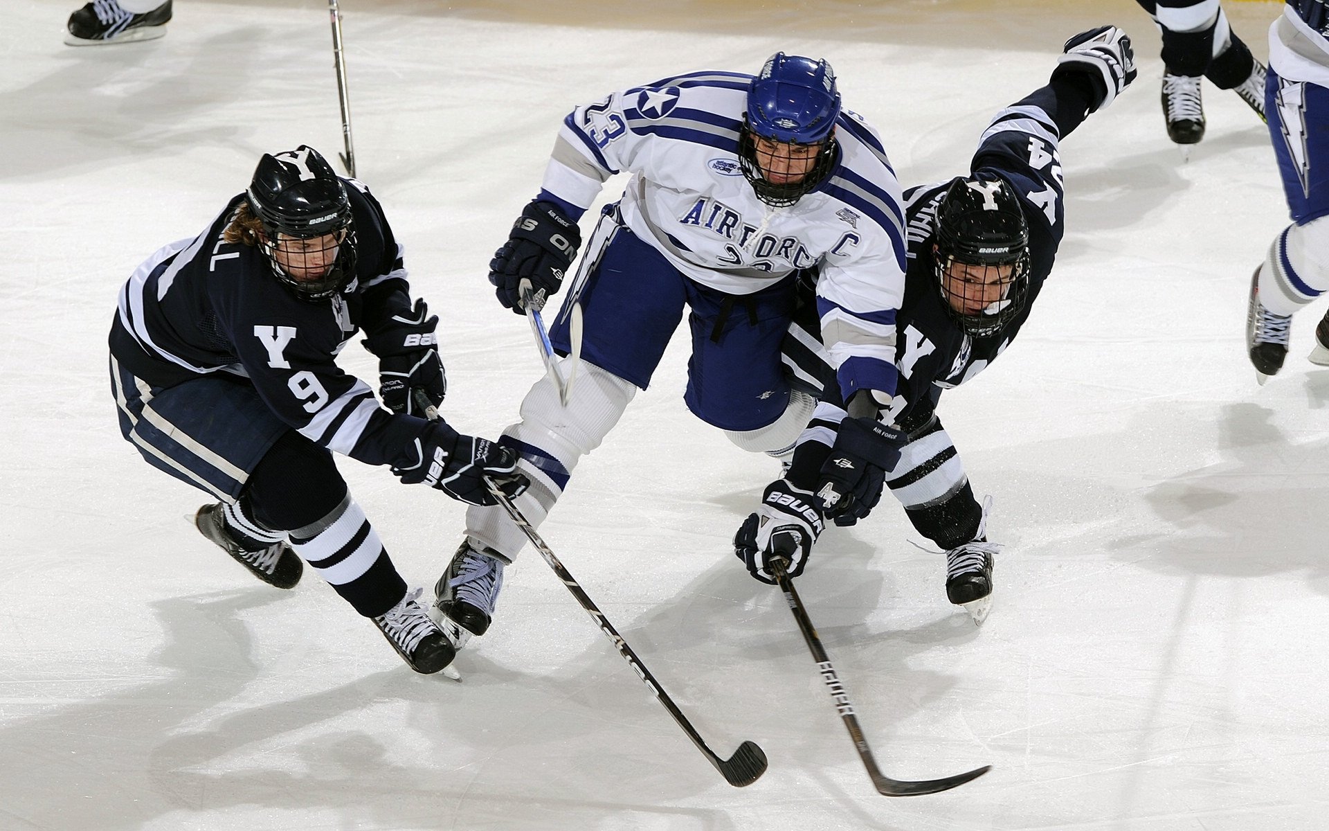 九游娱乐(jiuyou)官方网站-敬请期待：下一个“新星”会是谁？